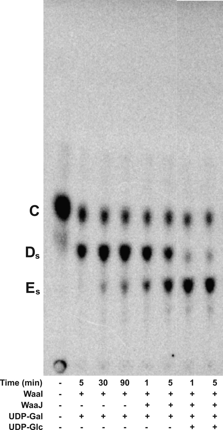 Figure 11