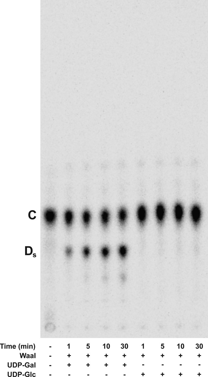 Figure 10