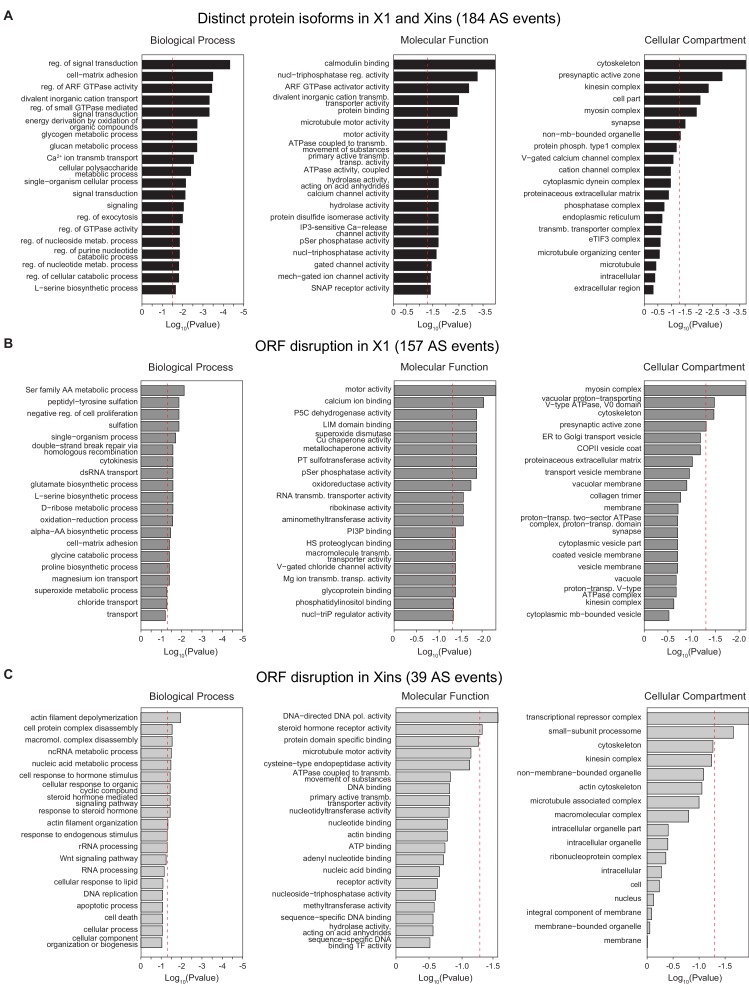 Figure 1—figure supplement 4.