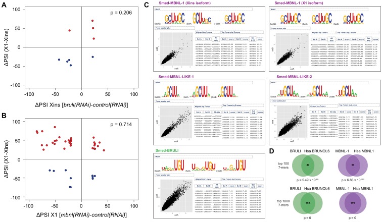 Figure 6—figure supplement 2.