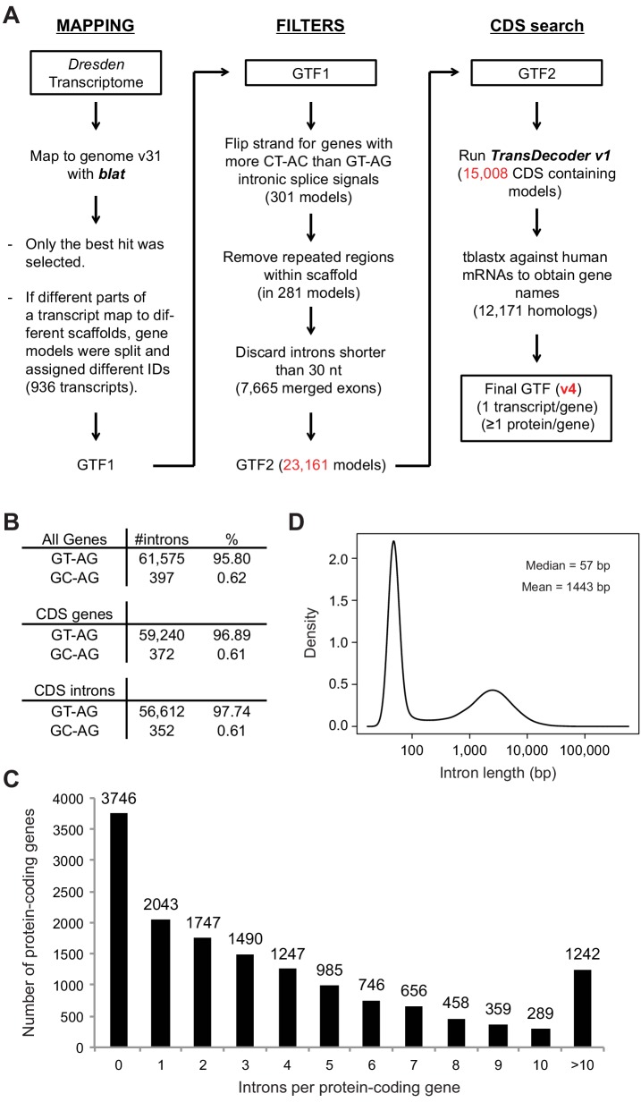 Figure 1—figure supplement 1.