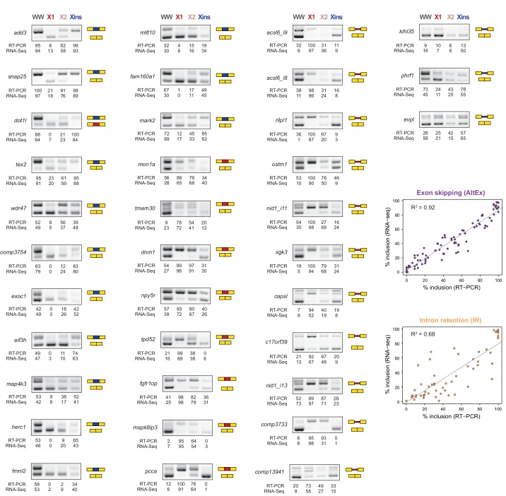 Figure 1—figure supplement 3.