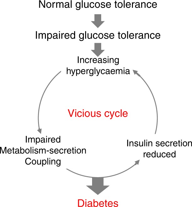 Fig. 10