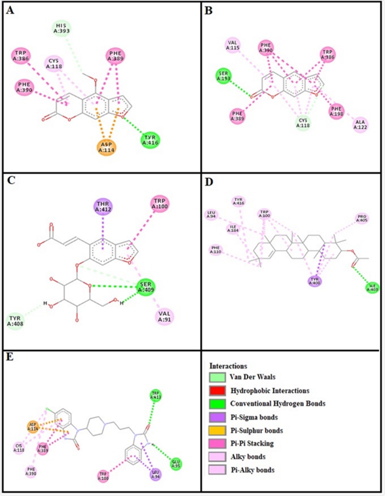 Fig. 10