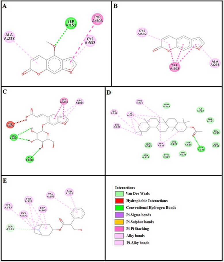 Fig. 8