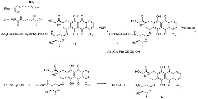 Scheme 8