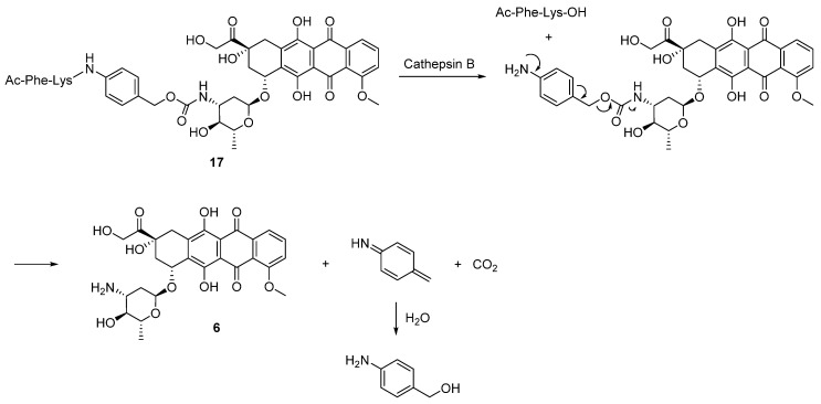 Scheme 9