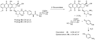 Scheme 10