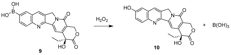 Scheme 4