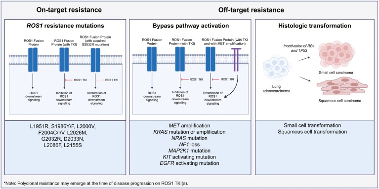 Overview of mechanisms of resistance to ROS1 inhibitors, including on-target and off-target resistance.