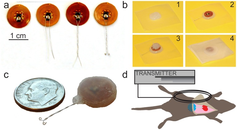 Figure 4