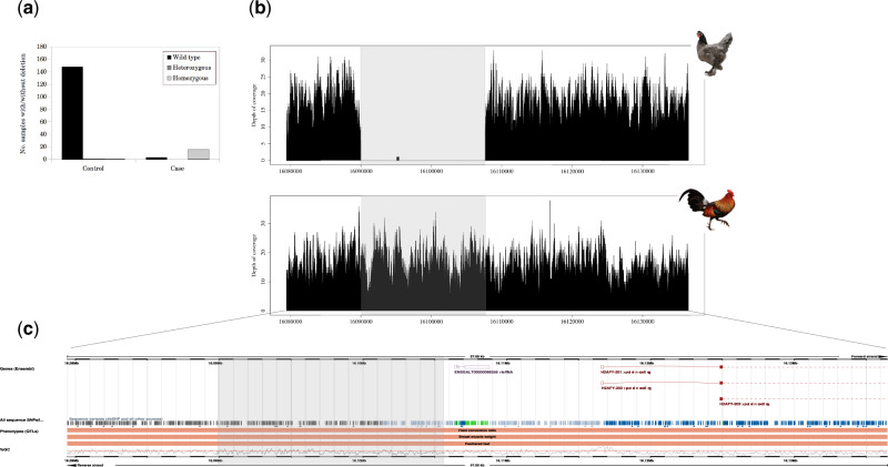 Fig. 3.