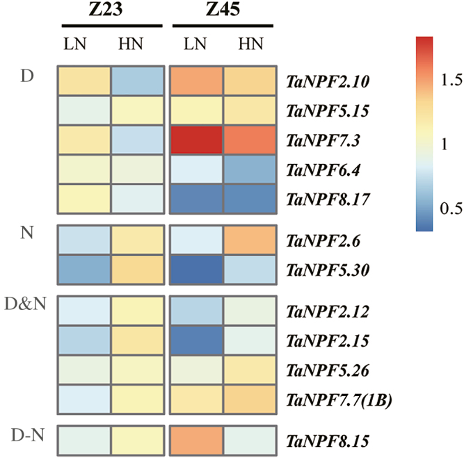 Fig. 4.