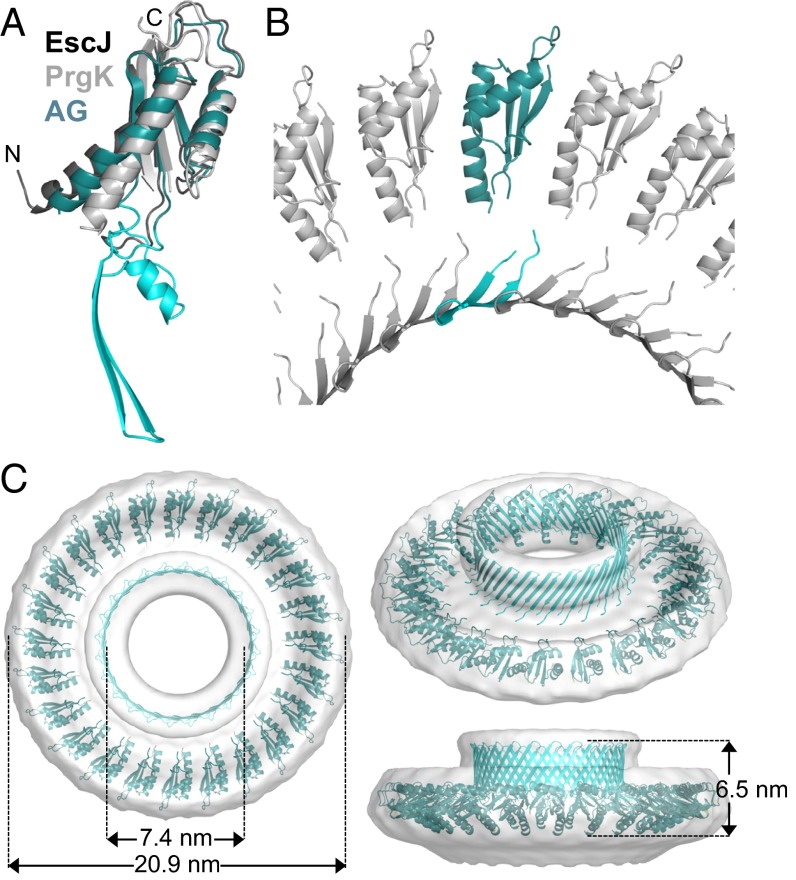 Fig. 3.