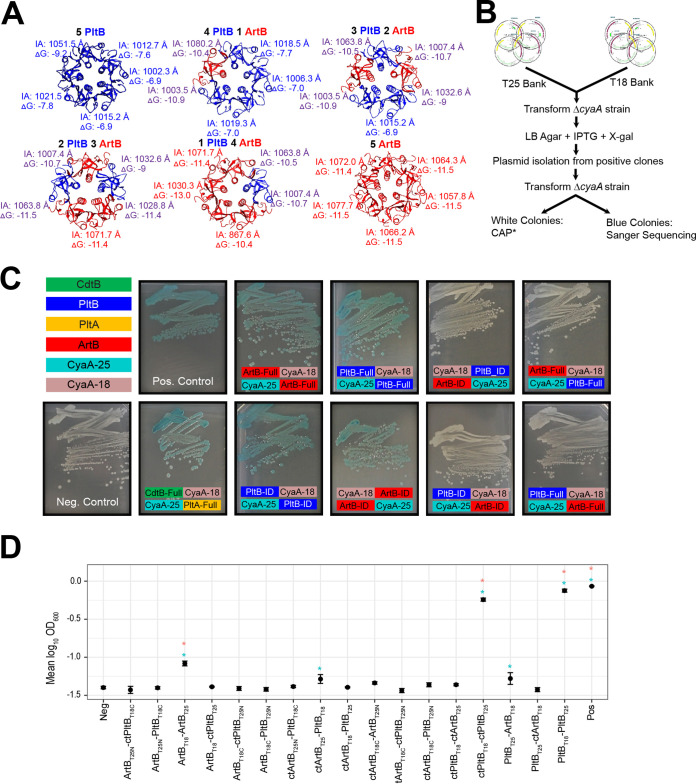 FIG 3