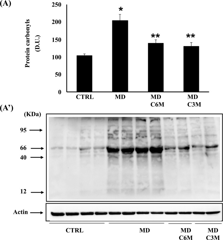 Fig. (5)