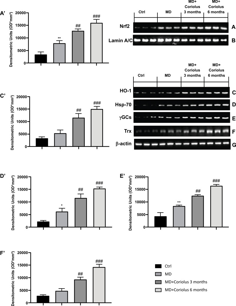 Fig. (3)