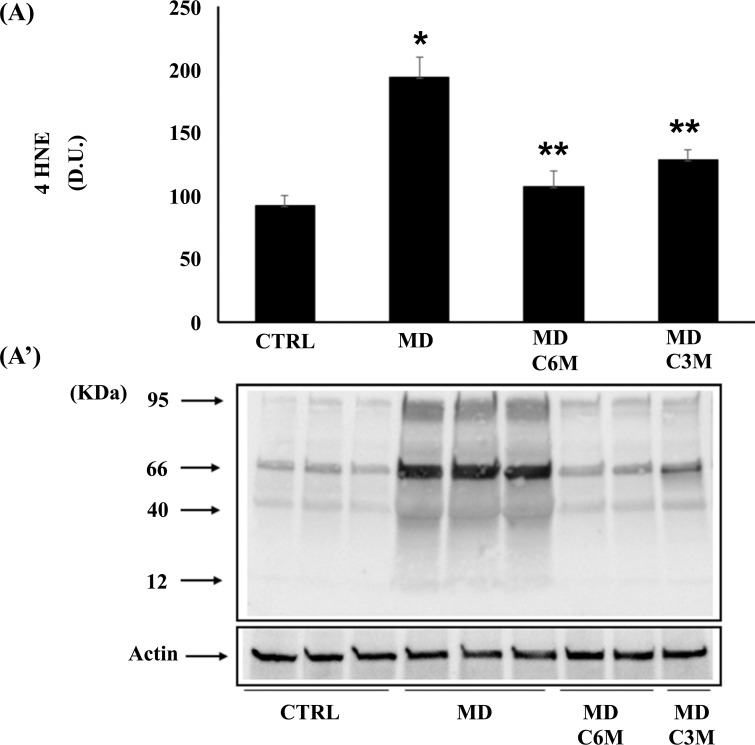 Fig. (6)