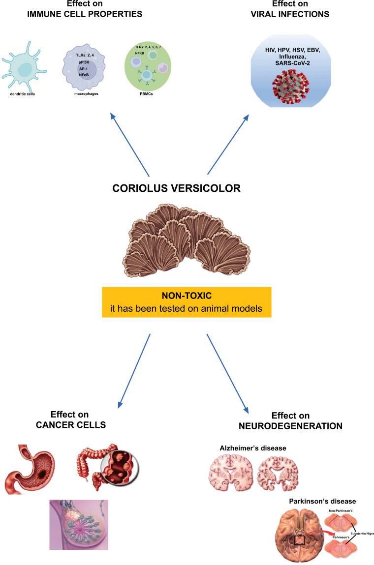 Fig. (1)