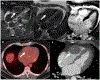 FIGURE 29