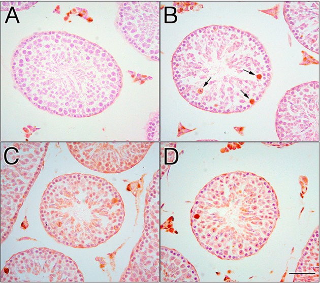 Fig. 8.