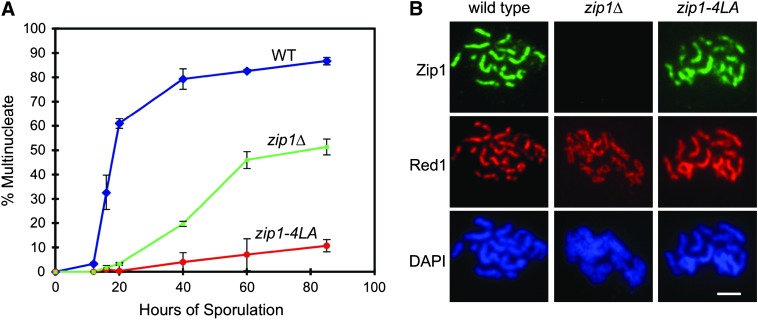 Figure 2.—