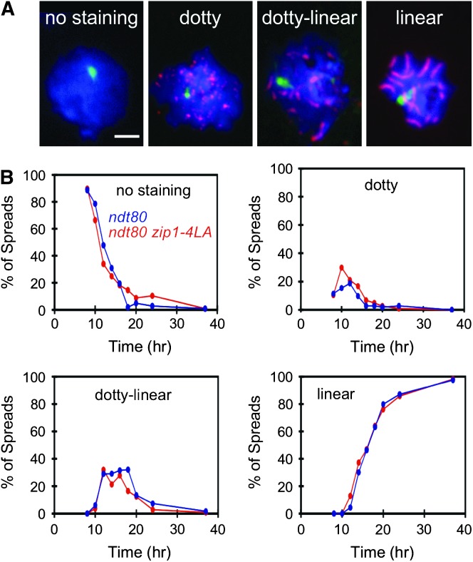 Figure 3.—