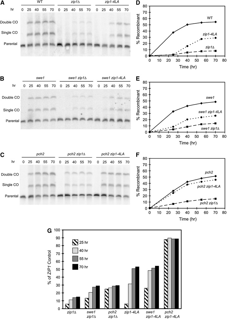 Figure 6.—