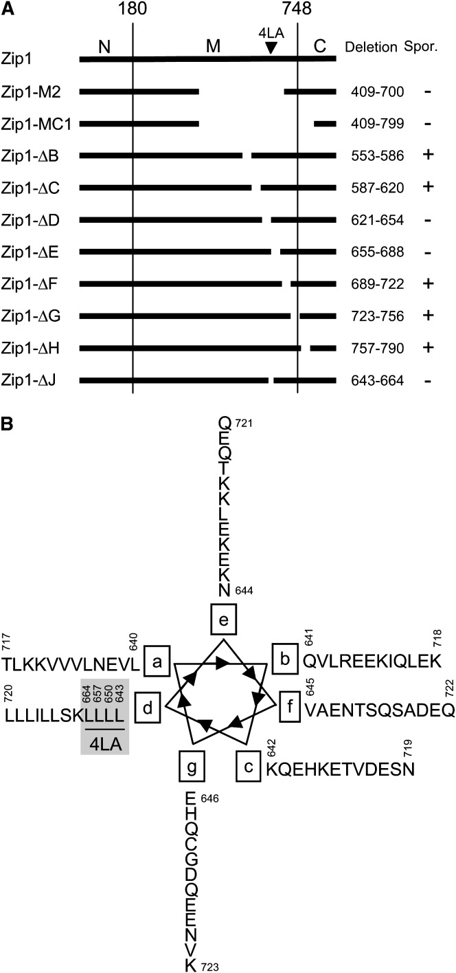 Figure 1.—