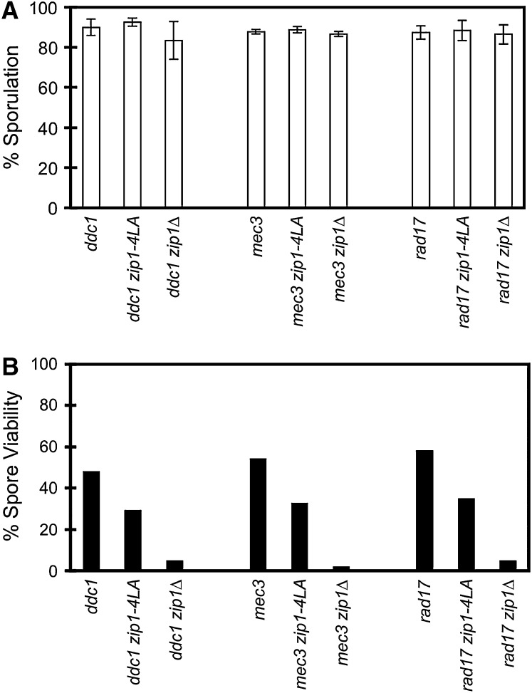 Figure 4.—