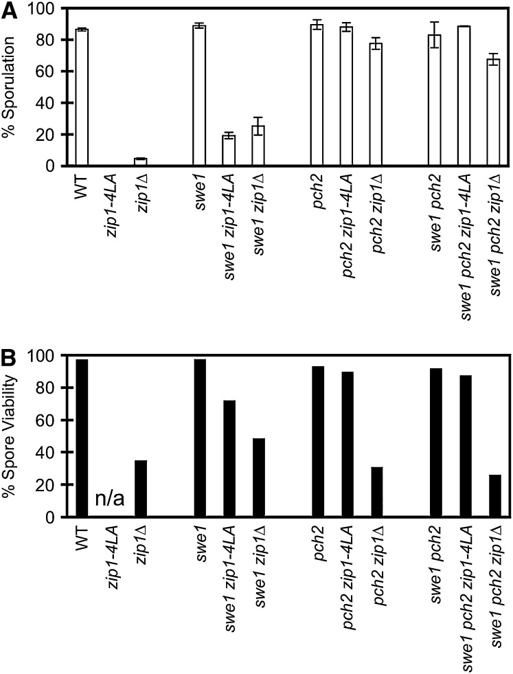 Figure 5.—