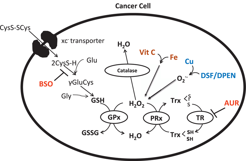 FIG. 4.