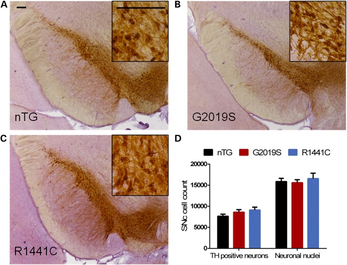 Figure 4.