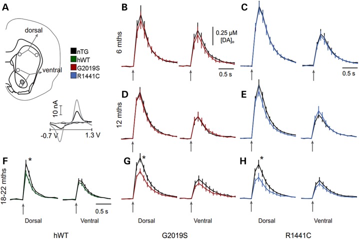 Figure 3.