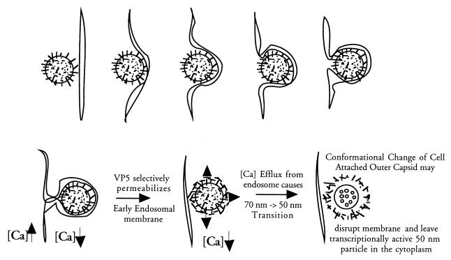 FIG. 6