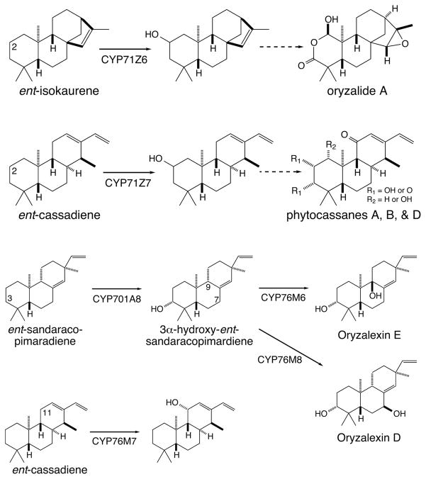 Figure 14