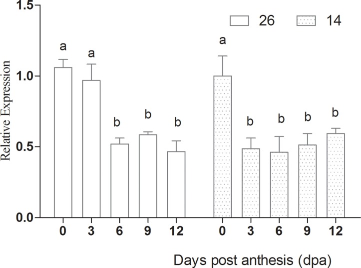 Fig 16