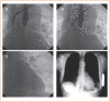 Figure 3: