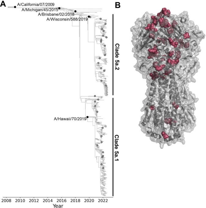 Figure 2.