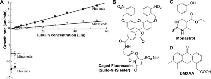 FIGURE 1: