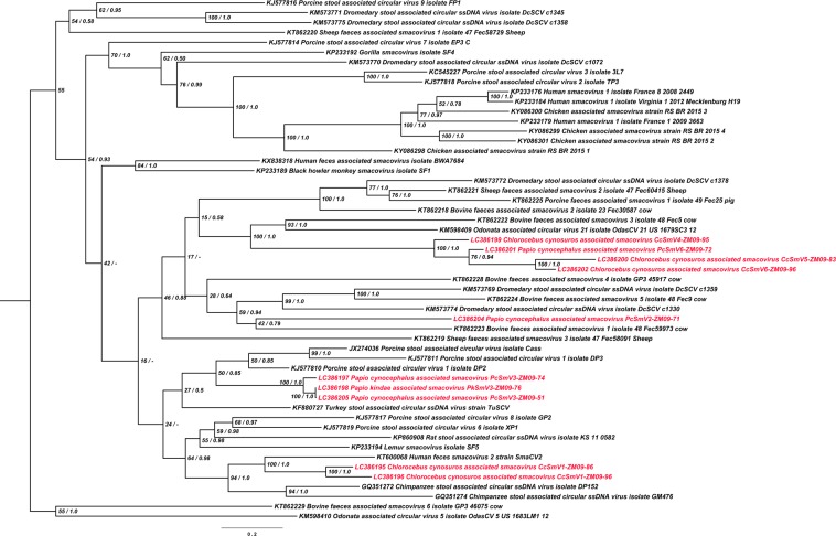 Figure 2