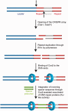 Figure 6.