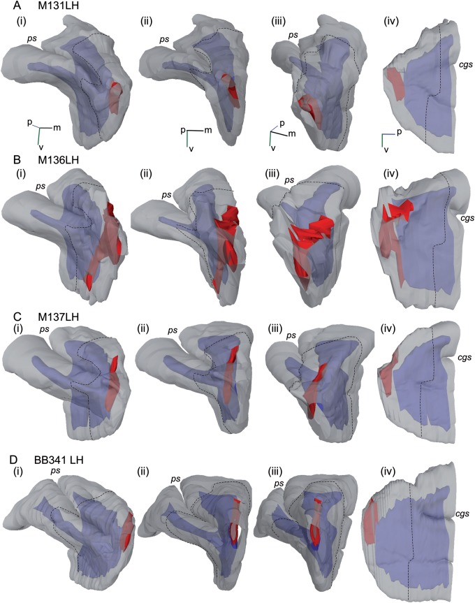 Figure 2.