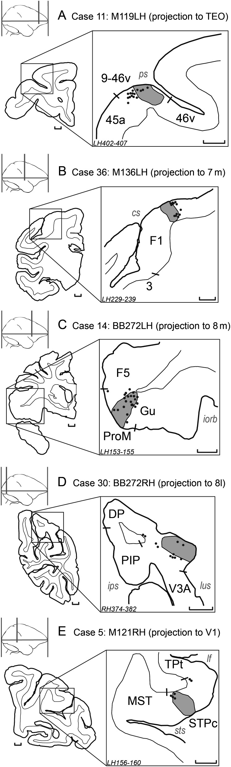 Figure 10.