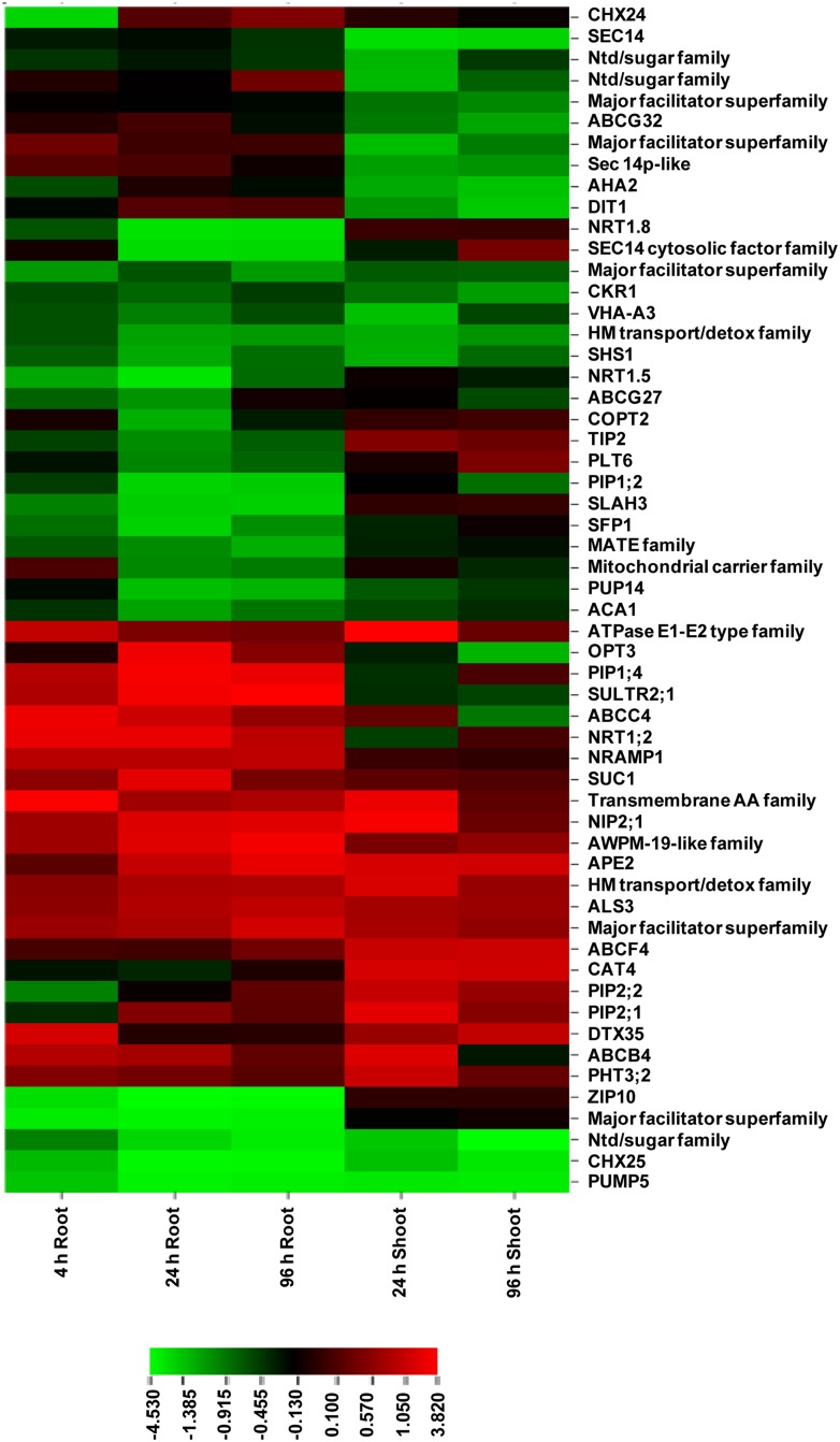 FIGURE 4