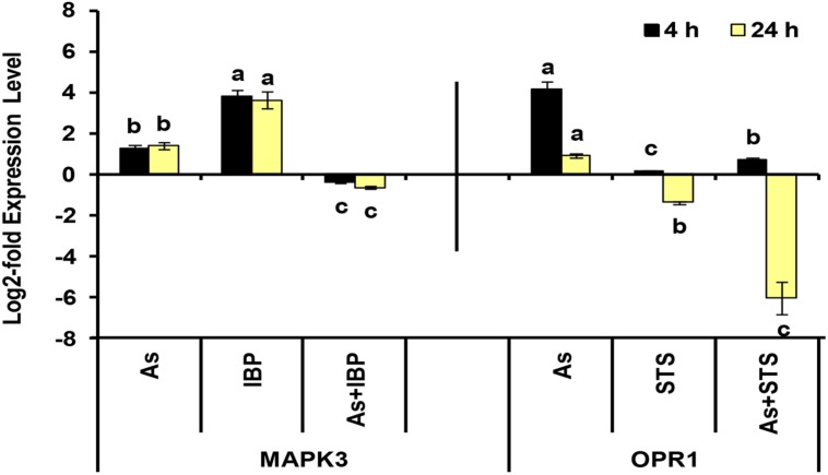 FIGURE 7