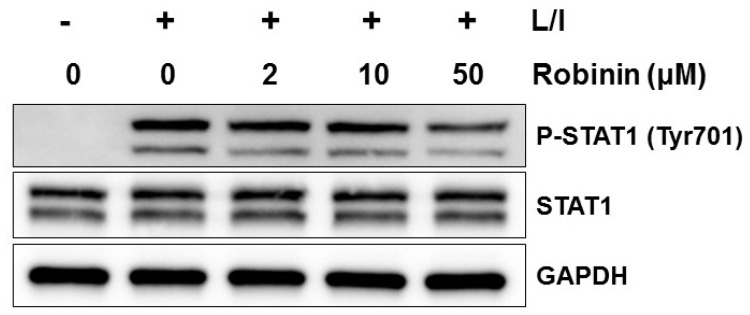 Figure 8