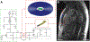 Fig. 1: