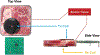 Fig. 2: