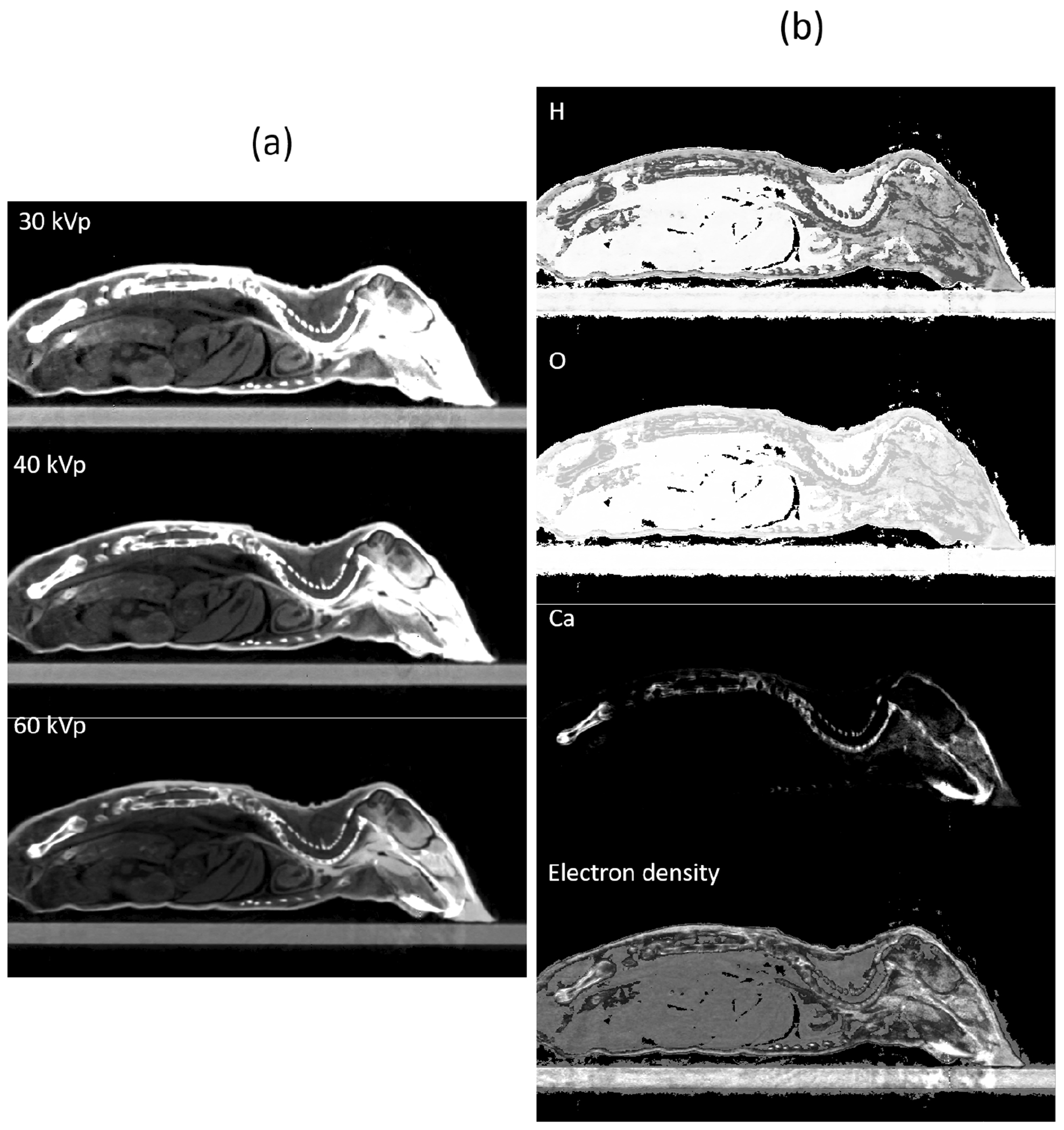 Figure 11.